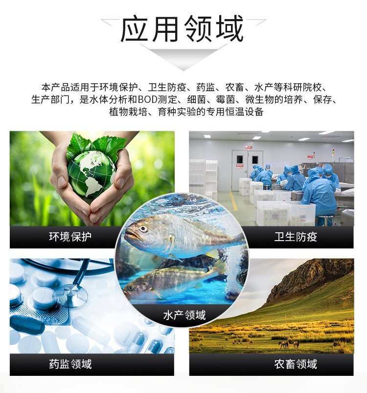 LRH-250A型生化培养箱 环保检测的精准温控专家